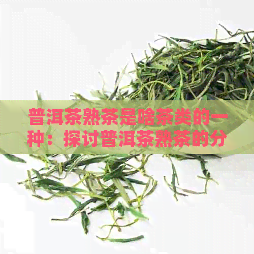 普洱茶熟茶是啥茶类的一种：探讨普洱茶熟茶的分类及特点