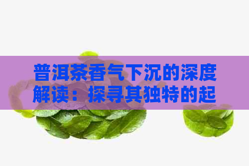 普洱茶香气下沉的深度解读：探寻其独特的起因与原因