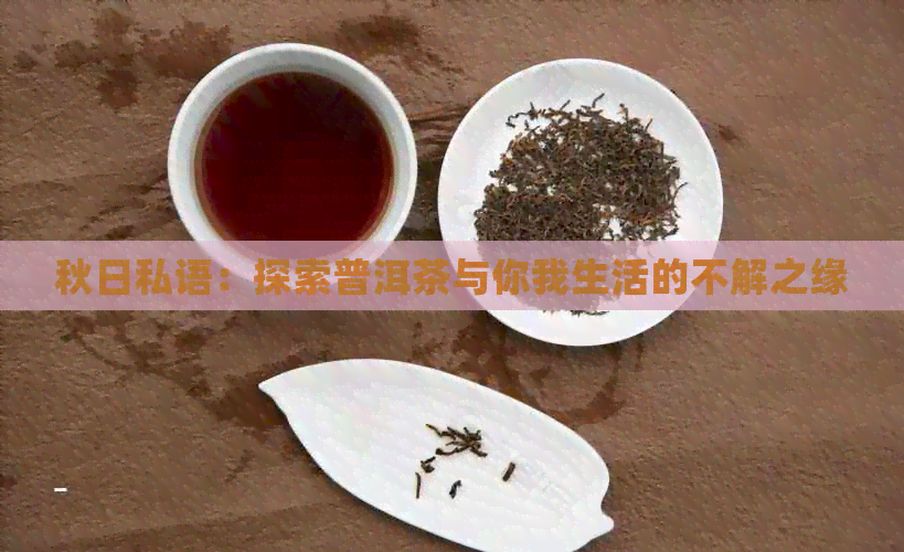 秋日私语：探索普洱茶与你我生活的不解之缘