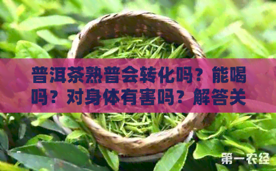 普洱茶熟普会转化吗？能喝吗？对身体有害吗？解答关于普洱茶熟普的所有疑问