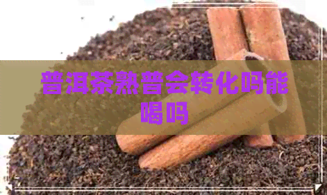 普洱茶熟普会转化吗能喝吗