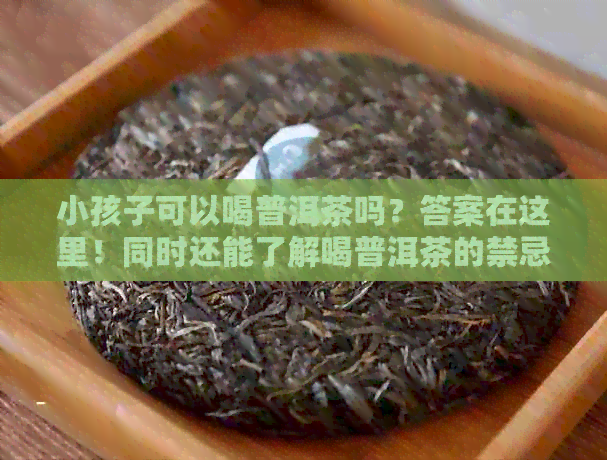 小孩子可以喝普洱茶吗？答案在这里！同时还能了解喝普洱茶的禁忌与注意事项