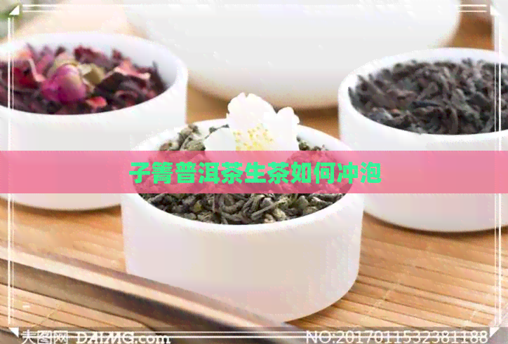 子箐普洱茶生茶如何冲泡