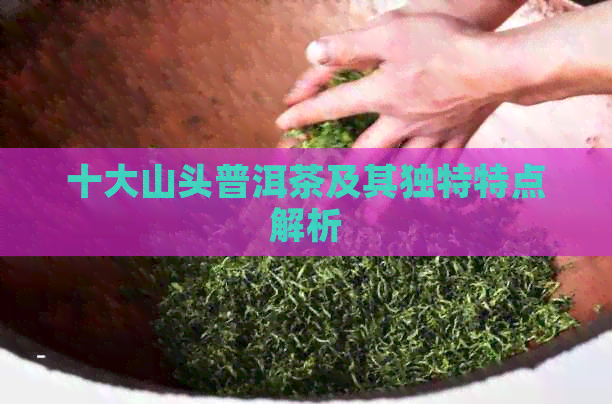 十大山头普洱茶及其独特特点解析