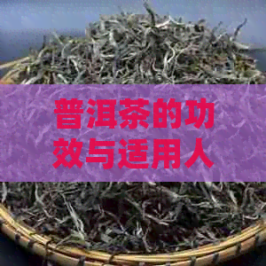 普洱茶的功效与适用人群：上火还是去火？如何选择适合自己的普洱茶？