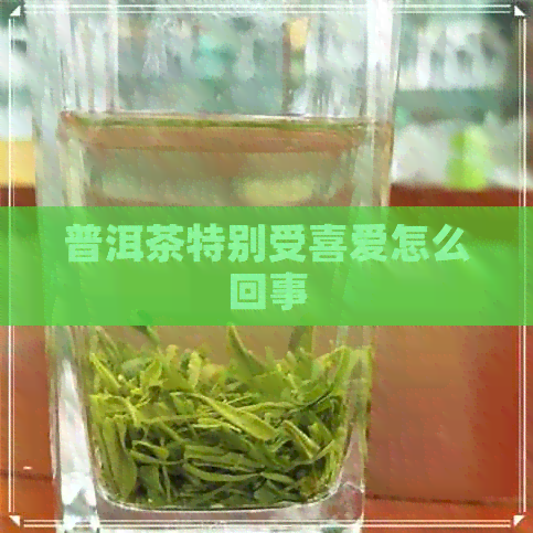 普洱茶特别受喜爱怎么回事