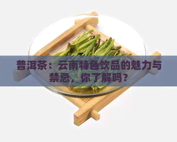 普洱茶：云南特色饮品的魅力与禁忌，你了解吗？