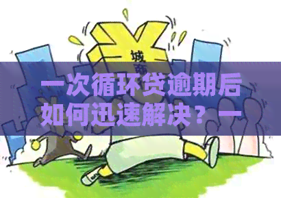 一次循环贷逾期后如何迅速解决？一天内还清贷款的办法和资讯