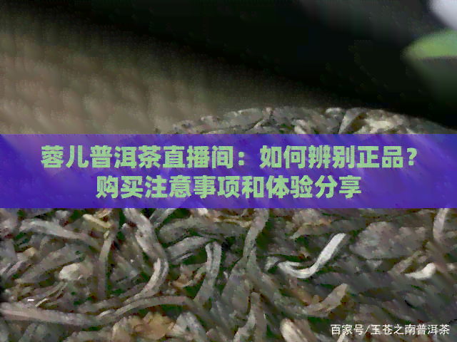 蓉儿普洱茶直播间：如何辨别正品？购买注意事项和体验分享