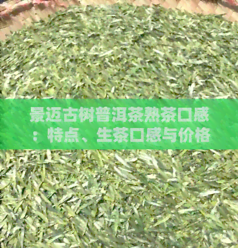 景迈古树普洱茶熟茶口感：特点、生茶口感与价格详解