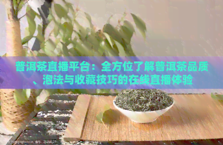 普洱茶直播平台：全方位了解普洱茶品质、泡法与收藏技巧的在线直播体验