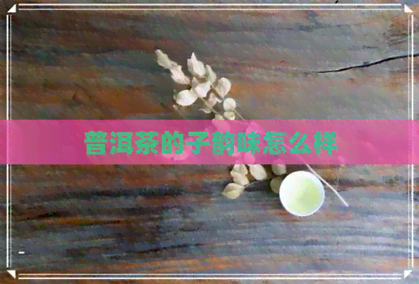 普洱茶的子韵味怎么样