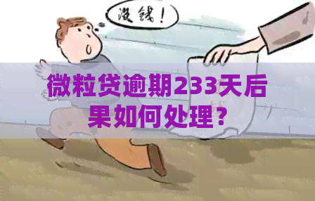 微粒贷逾期233天后果如何处理？