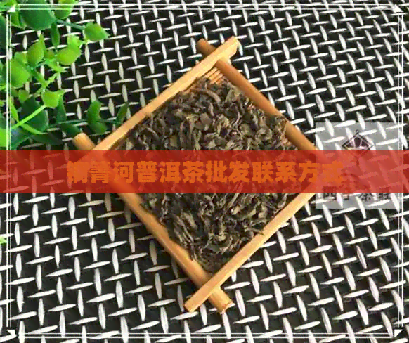 铜箐河普洱茶批发联系方式