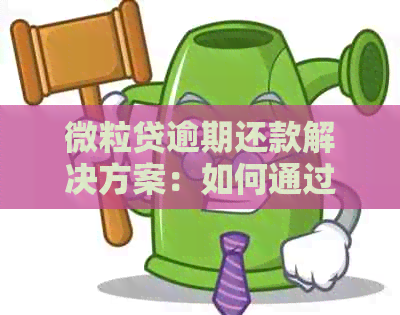 微粒贷逾期还款解决方案：如何通过对公账户进行还款，以及相关注意事项