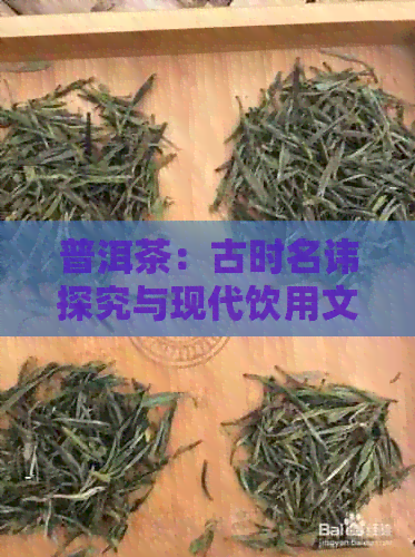 普洱茶：古时名讳探究与现代饮用文化的交融