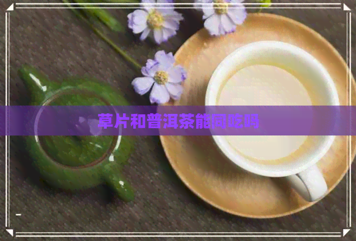 草片和普洱茶能同吃吗