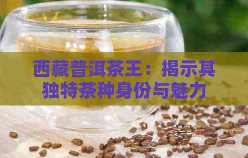      普洱茶王：揭示其独特茶种身份与魅力