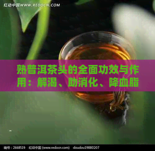 熟普洱茶头的全面功效与作用：解渴、助消化、降血脂等多重益处