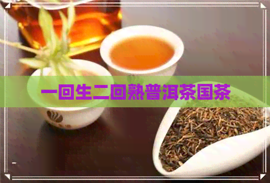 一回生二回熟普洱茶国茶