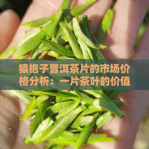 猿抱子普洱茶片的市场价格分析：一片茶叶的价值与品质探讨