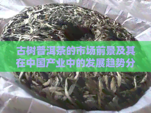 古树普洱茶的市场前景及其在中国产业中的发展趋势分析