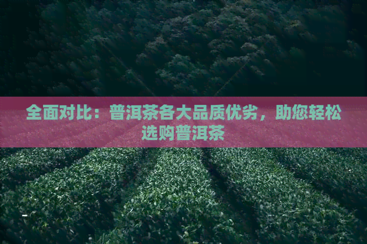 全面对比：普洱茶各大品质优劣，助您轻松选购普洱茶