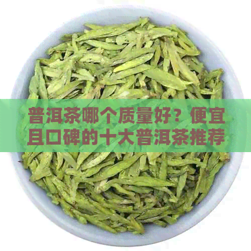 普洱茶哪个质量好？便宜且口碑的十大普洱茶推荐