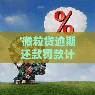 '微粒贷逾期还款罚款计算详解：一天罚息多少钱？'