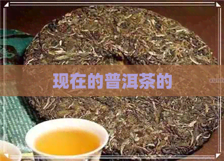 现在的普洱茶的