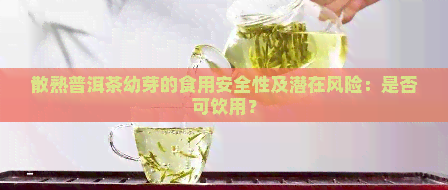 散熟普洱茶幼芽的食用安全性及潜在风险：是否可饮用？