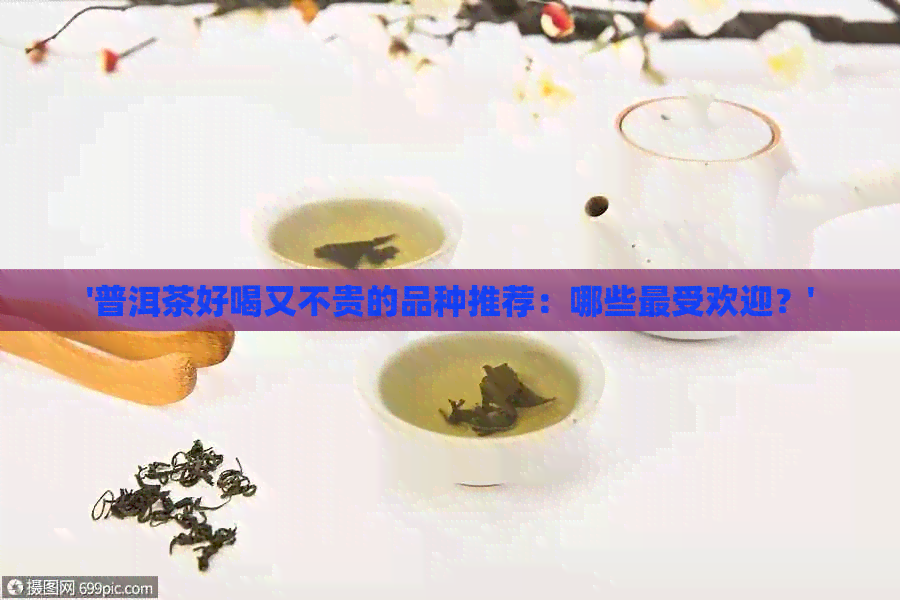 '普洱茶好喝又不贵的品种推荐：哪些更受欢迎？'