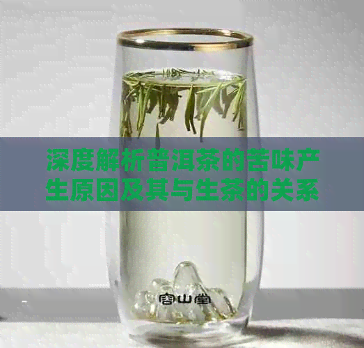 深度解析普洱茶的苦味产生原因及其与生茶的关系