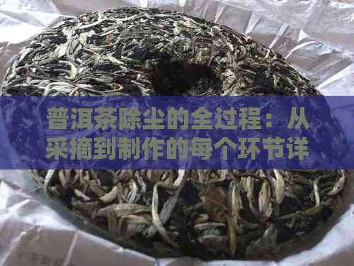 普洱茶除尘的全过程：从采摘到制作的每个环节详解