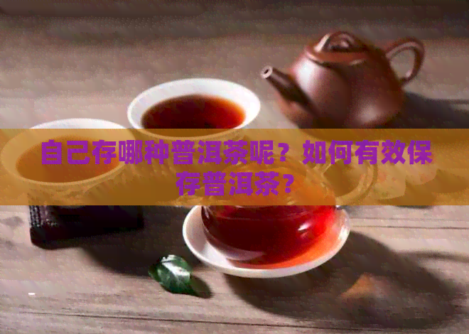 自己存哪种普洱茶呢？如何有效保存普洱茶？