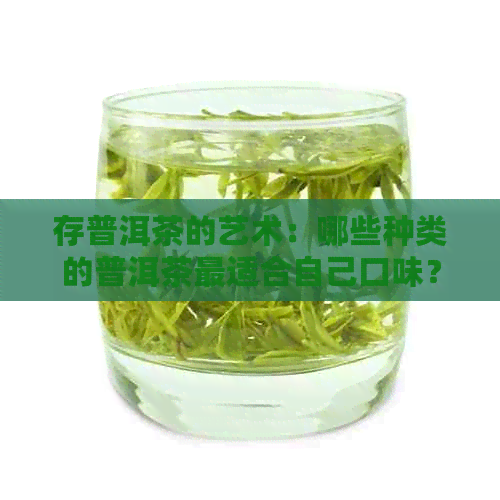 存普洱茶的艺术：哪些种类的普洱茶最适合自己口味？