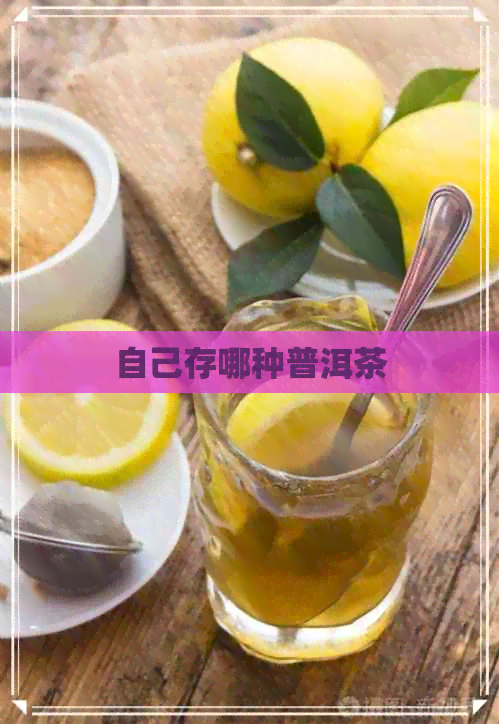 自己存哪种普洱茶