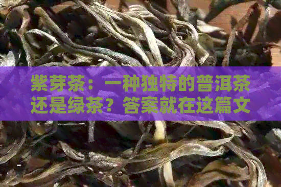 紫芽茶：一种独特的普洱茶还是绿茶？答案就在这篇文章中