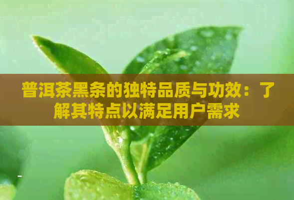 普洱茶黑条的独特品质与功效：了解其特点以满足用户需求