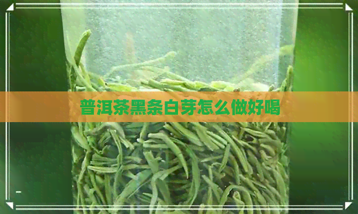 普洱茶黑条白芽怎么做好喝