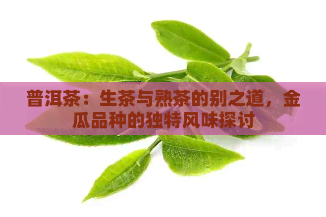 普洱茶：生茶与熟茶的别之道，金瓜品种的独特风味探讨