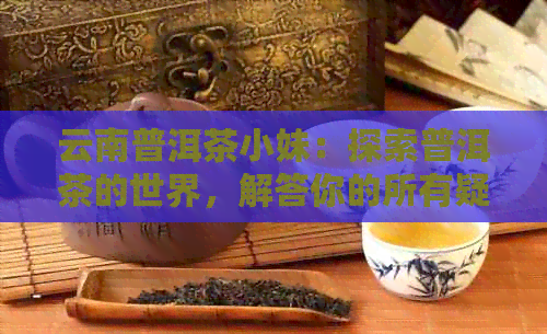 云南普洱茶小妹：探索普洱茶的世界，解答你的所有疑问