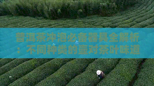 普洱茶冲泡必备器具全解析：不同种类的壶对茶叶味道的影响及选用建议