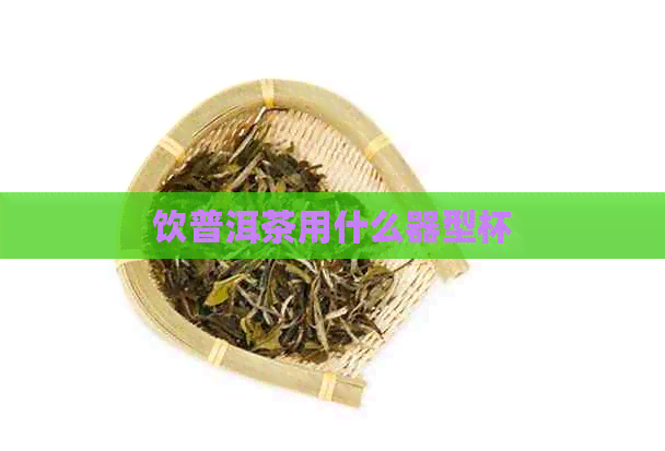 饮普洱茶用什么器型杯