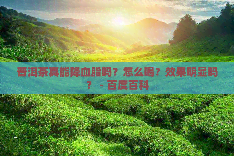 普洱茶真能降血脂吗？怎么喝？效果明显吗？ - 百度百科