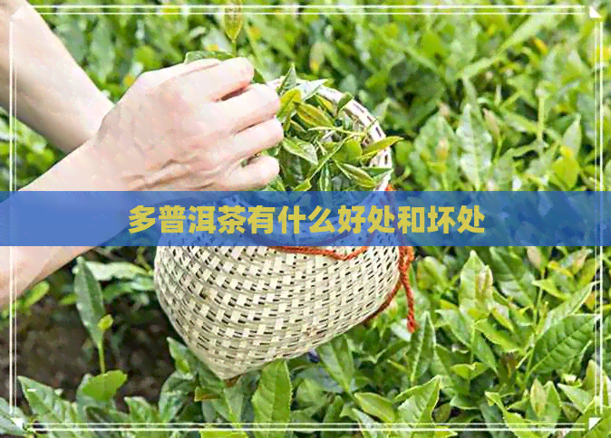 多普洱茶有什么好处和坏处