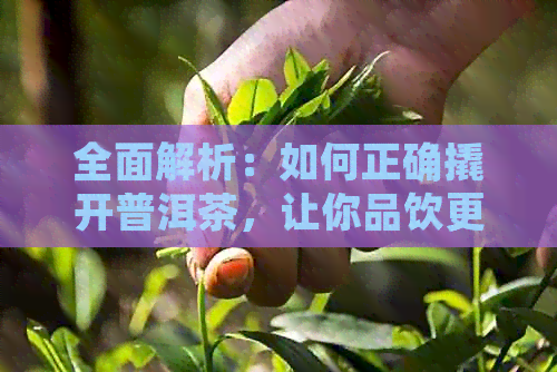 全面解析：如何正确撬开普洱茶，让你品饮更加优雅与高效