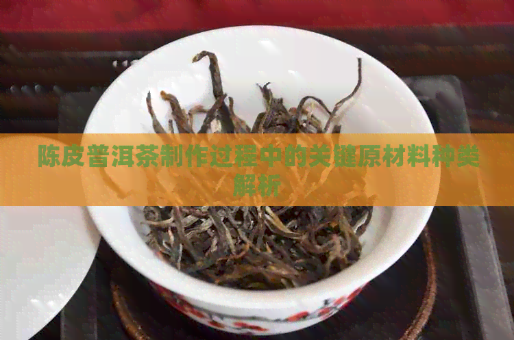 陈皮普洱茶制作过程中的关键原材料种类解析