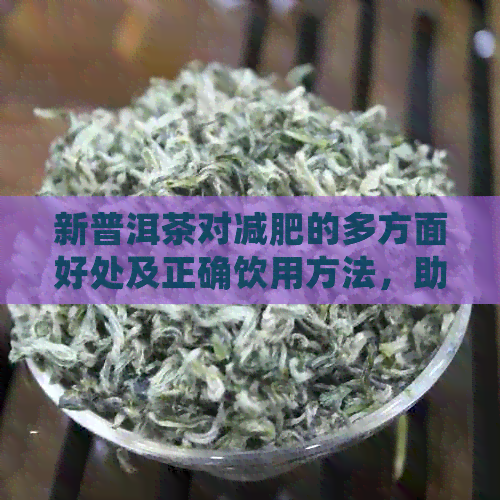 新普洱茶对减肥的多方面好处及正确饮用方法，助你有效瘦身！