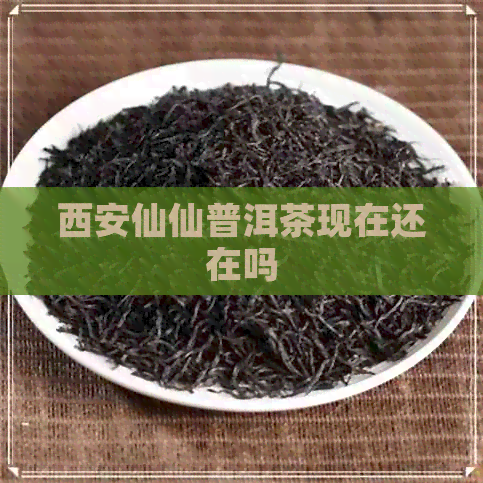 西安仙仙普洱茶现在还在吗